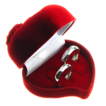 Irmãos Brant - Estojo Aliança Modelo Coração